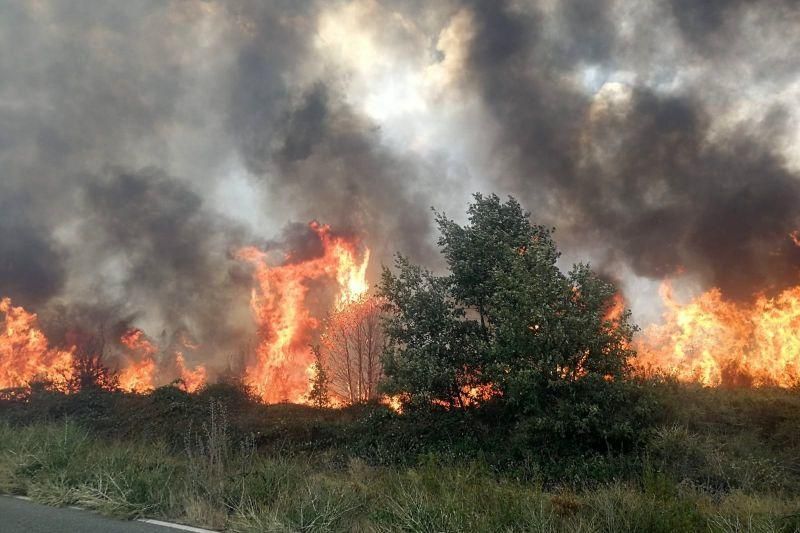 Imágenes del incendio forestal de Grisuela.