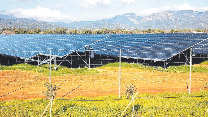 Los ayuntamientos de Mallorca podrán decidir sobre los parques solares más pequeños
