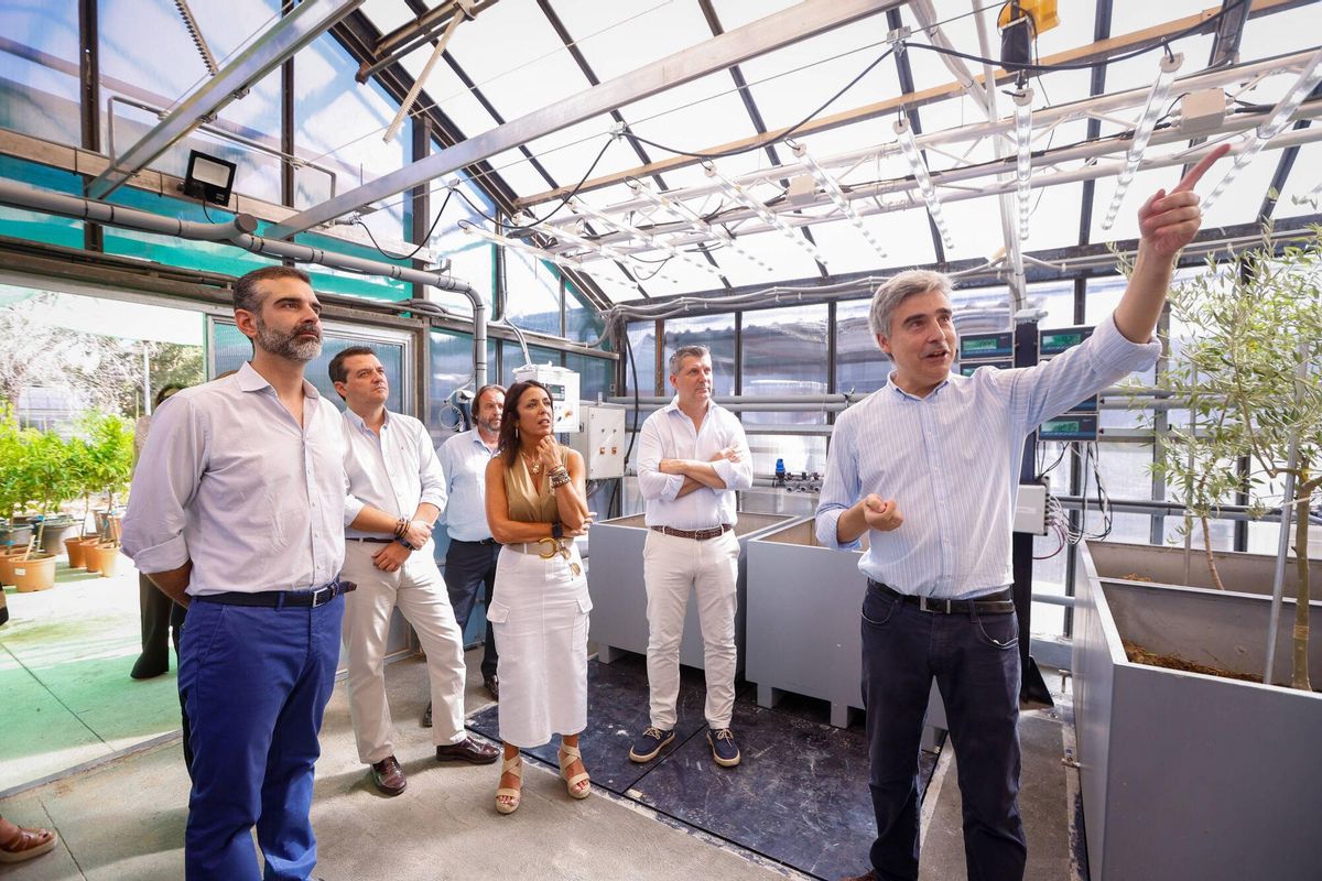 El alcalde de Córdoba, José María Bellido, junto al consejero de Agricultura, Pesca, Agua y Desarrollo Rural de la Junta de Andalucía, Ramón Fernández-Pacheco Monterreal visitan las instalaciones de IFAPA en La Alameda del Obispo. Visitan un proyecto en un invernadero