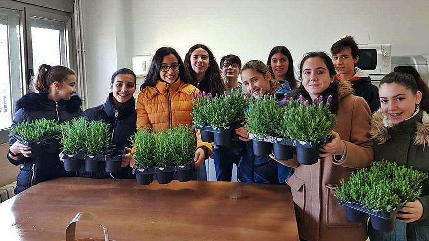 Crecimiento escolar entre verduras