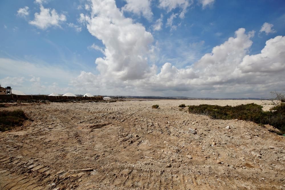 La empresa retira el vertedero creado hace más de 40 años junto a la orilla de la laguna de Torrevieja tras una inspección del parque natural