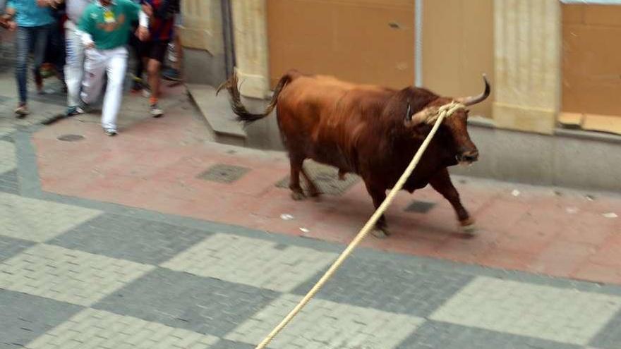 El Toro &quot;Rastreador&quot; en la calle Herreros.