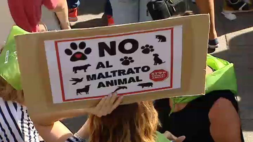 Miles de personas piden en Madrid el &quot;fin a las injusticias&quot; contra animales