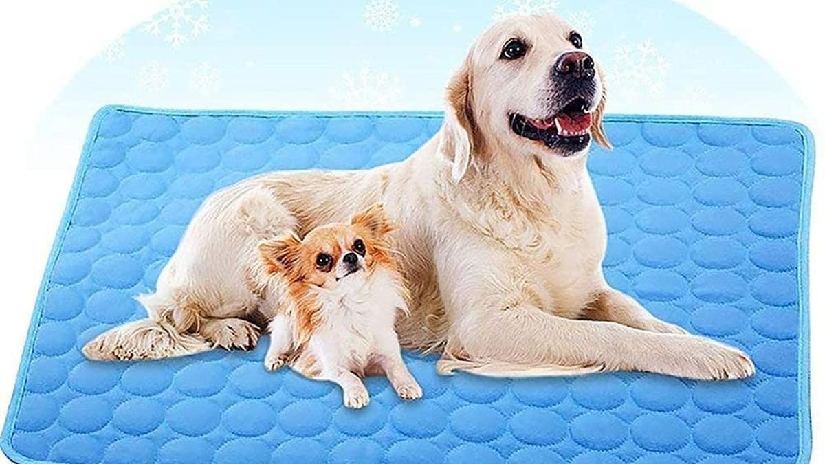 Dos perros en una manta refrigerante