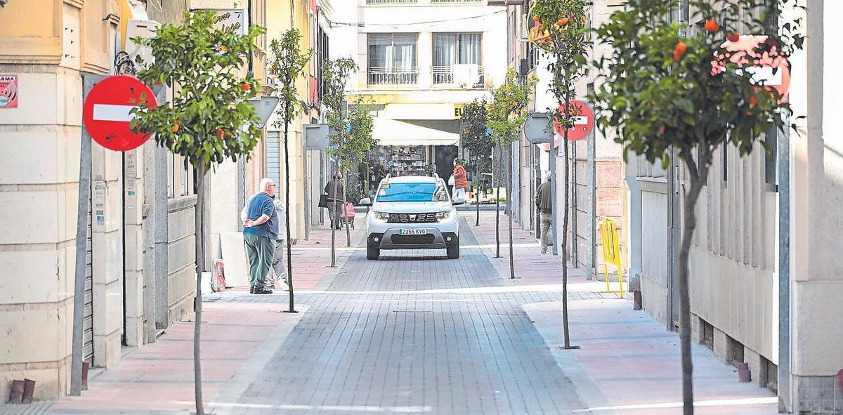 Árboles en una de las calles situadas en pleno centro de Elche.