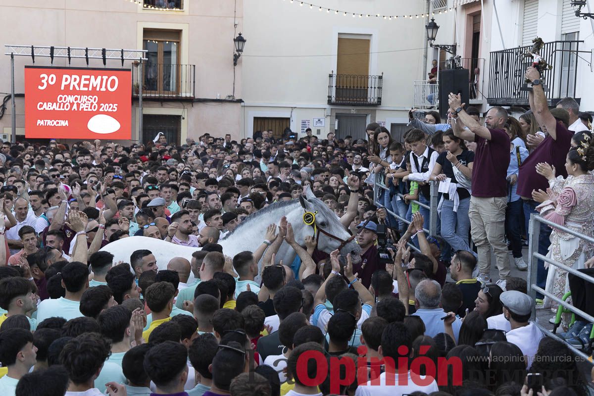Fiestas de Caravaca | Entrega de premios del concurso morfológico