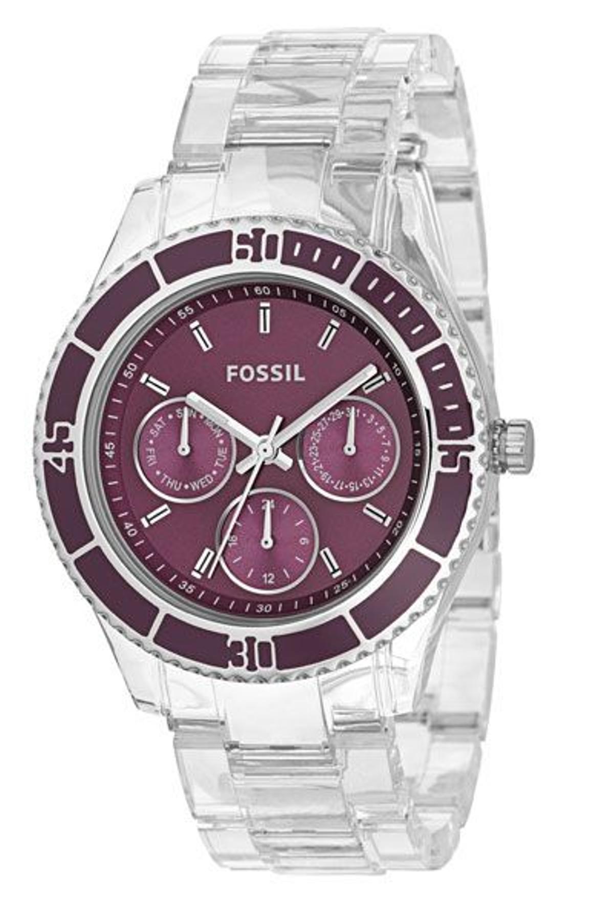 fossil2