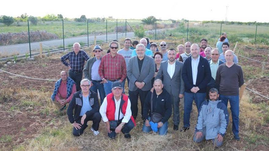 Vila-real reparte las 30 parcelas de sus huertos urbanos