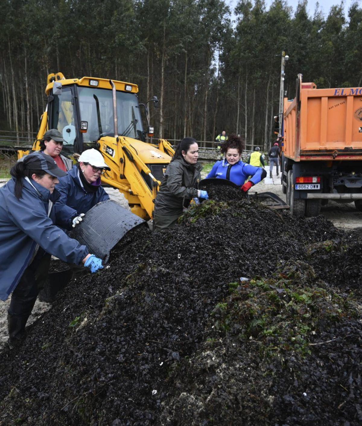 Jornada de limpieza en el fondo de la ría para evitar más daños al marisco