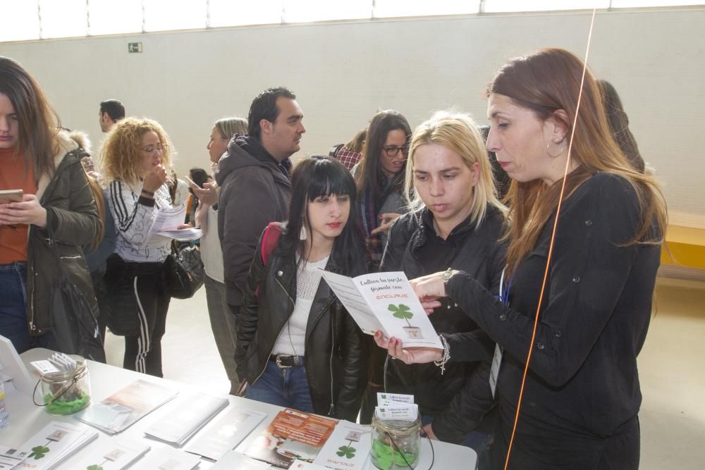 Feria itinere en el Auditorio El Batel, Cartagena