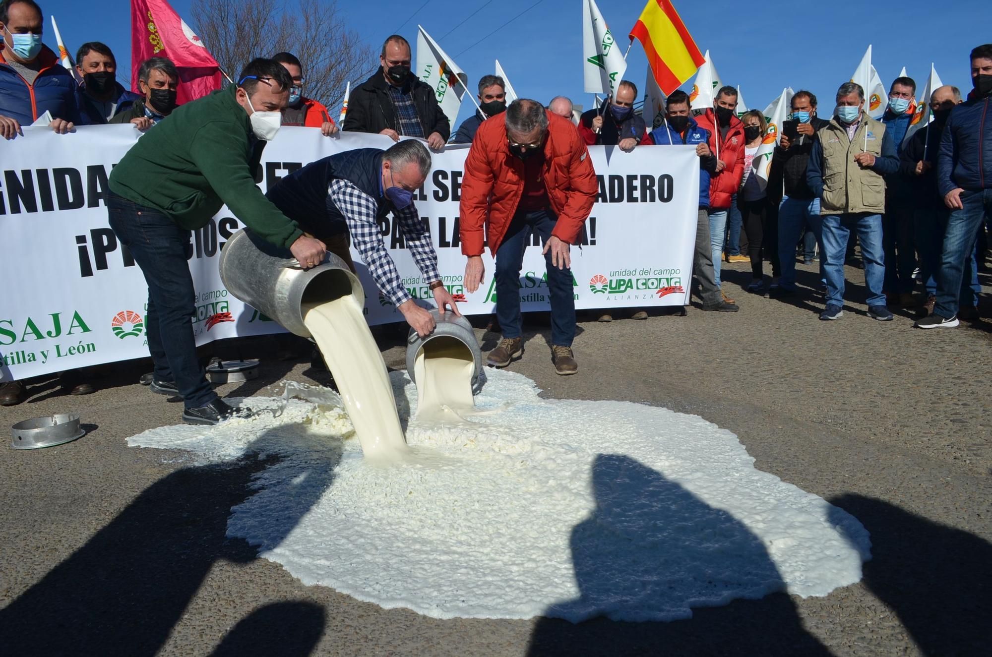 Ganaderos del sector lácteo derramando leche a las puerta de una industria de Castrogonzalo. / E . P.