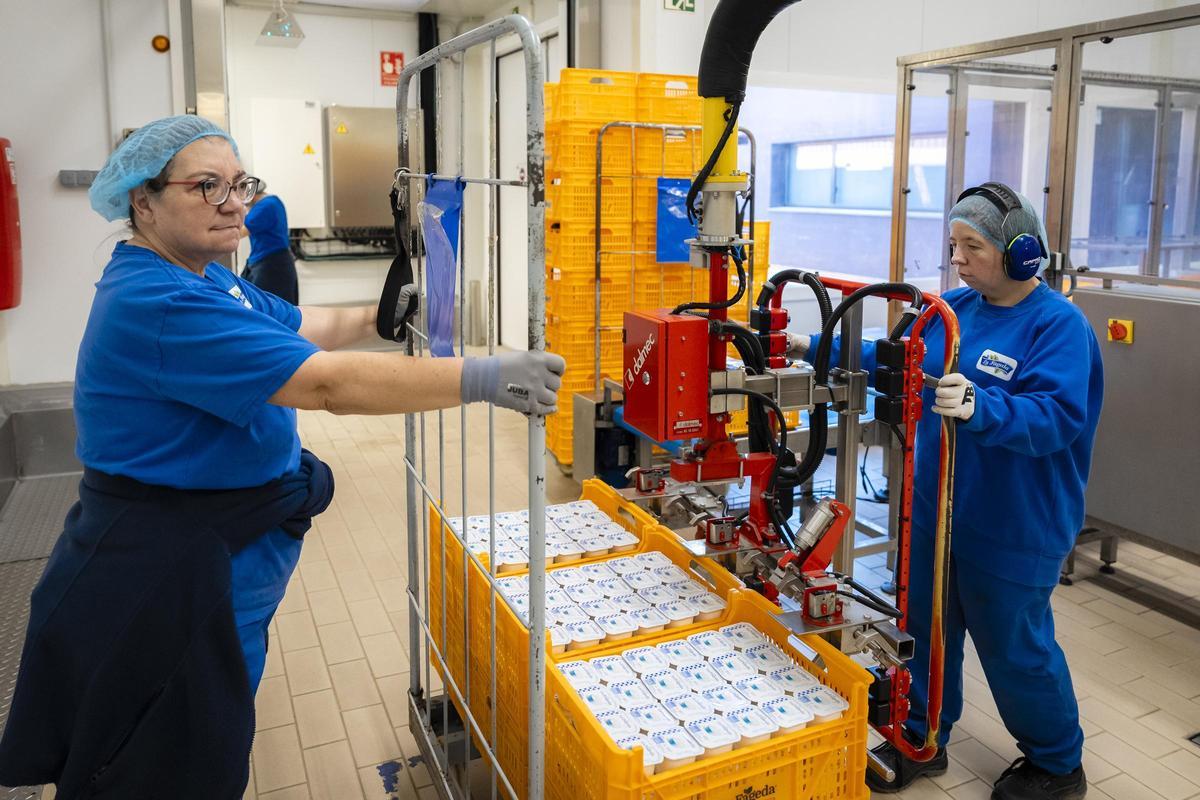 Instal·lacions de la Fageda