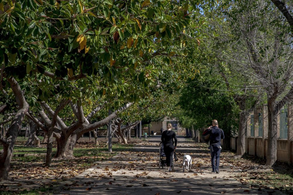 Los parques y las zonas verdes de Palma reabren con “normalidad”