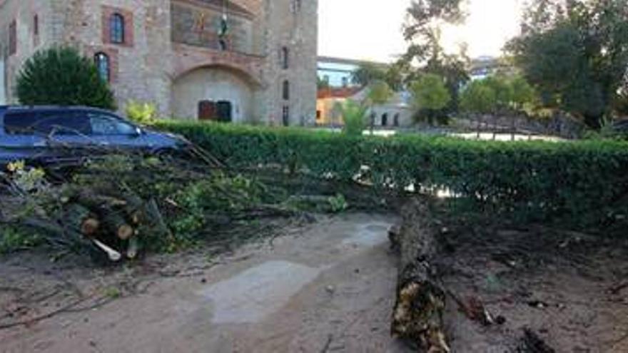 Extremadura activará la alerta amarilla a partir de las 15,00 horas