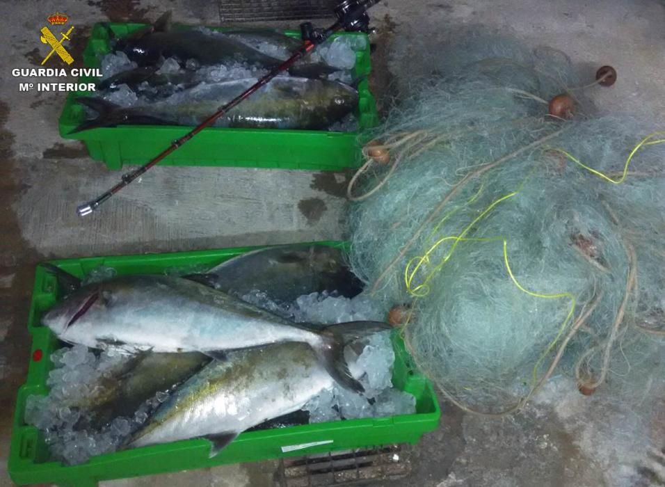 La Guardia Civil requisa más de 400 kilos de pescado ilegal en la costa de Altea