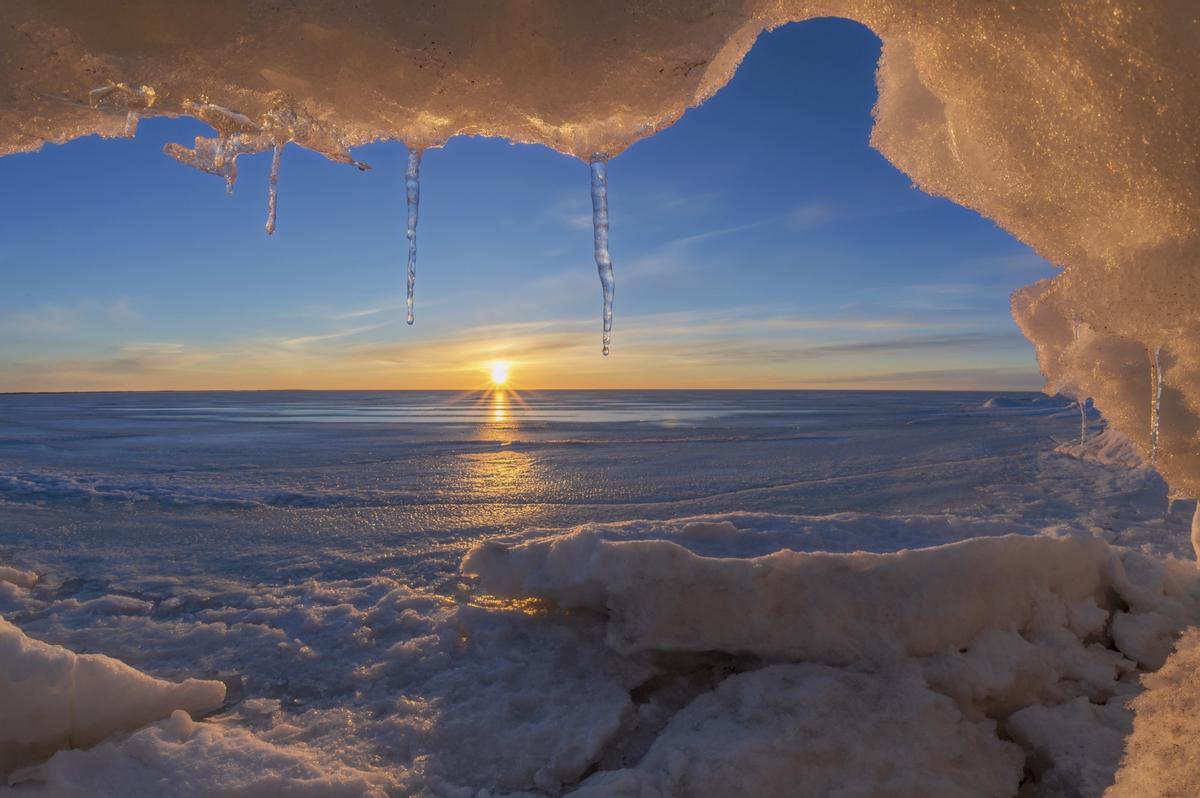 Reviven virus que permanecían congelados desde hacía miles de años