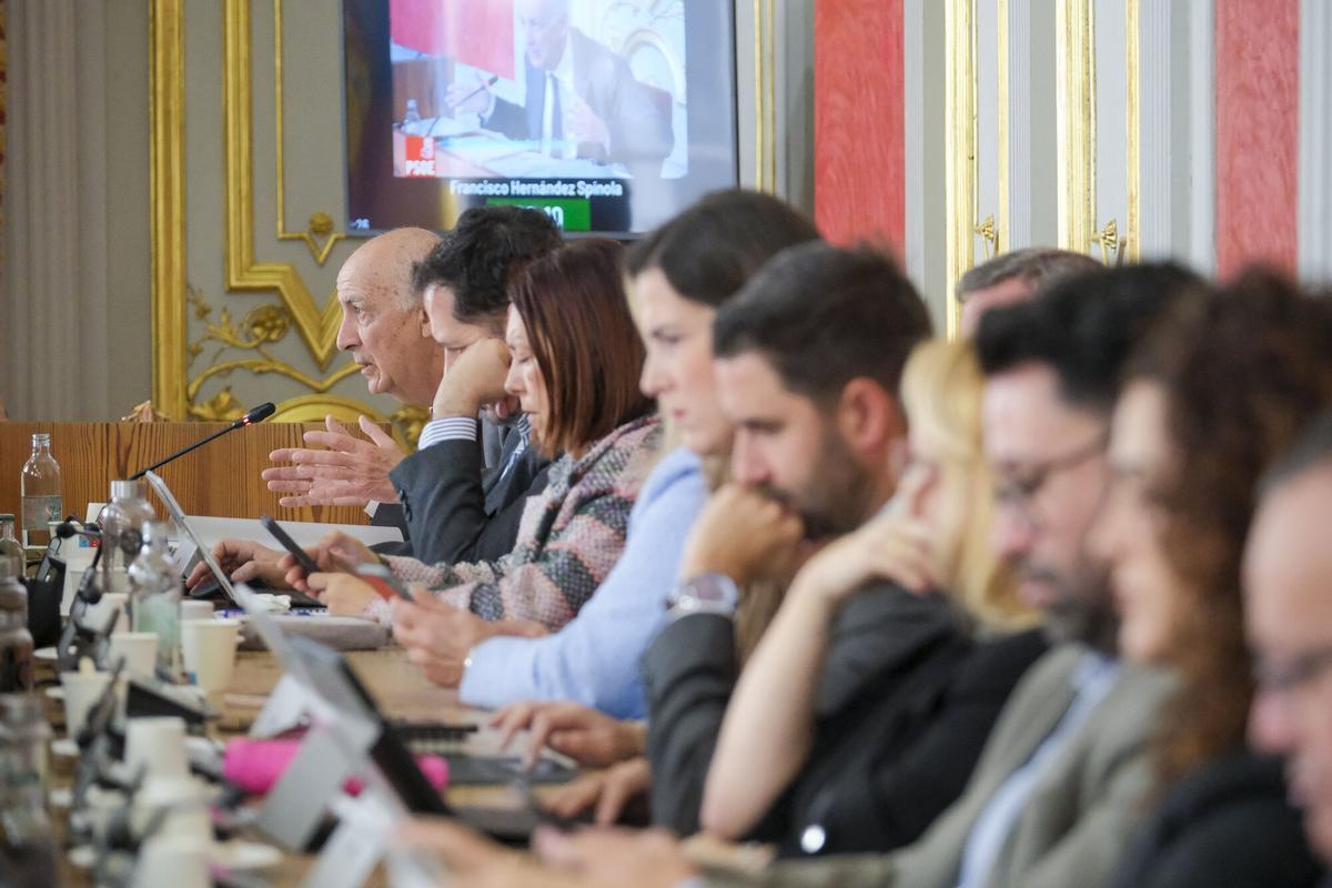 Pleno extraordinario del Ayuntamiento