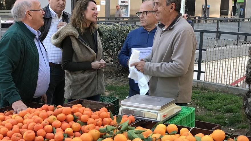 El Mercat de la Taronja vuelve este domingo a Castelló