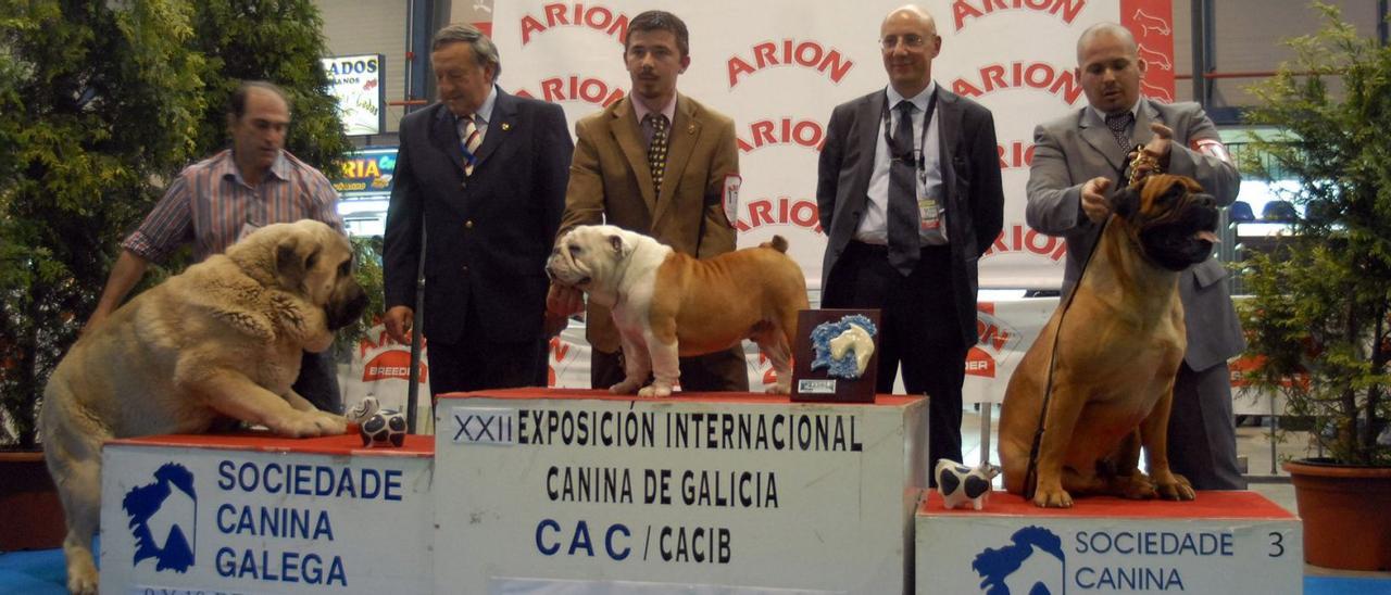 Una de las ferias caninas desplegadas en el recinto ferial de Fexdega, en Vilagarcía, en el año 2009. |  // IÑAKI ABELLA