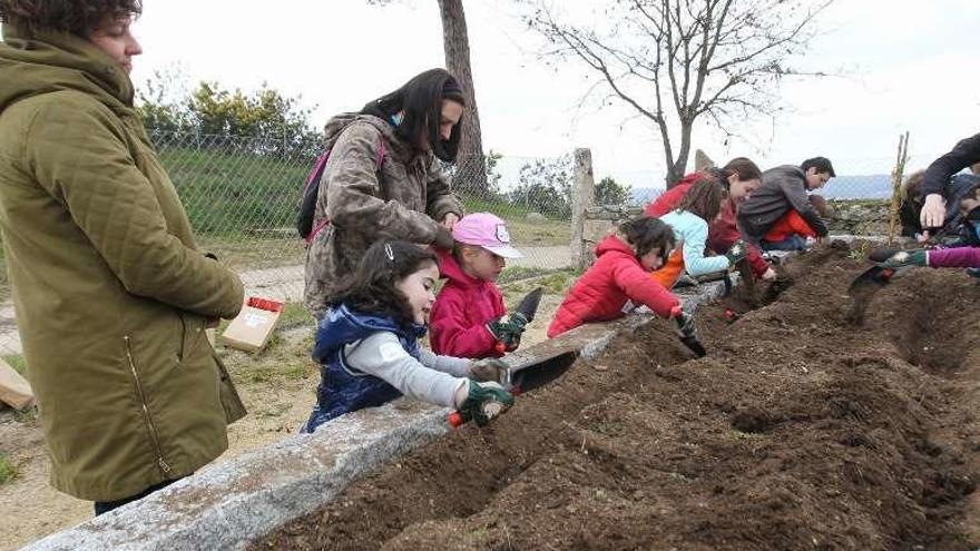 Niños realizando actividades en el parque de Montealegre. // Jesús Regal