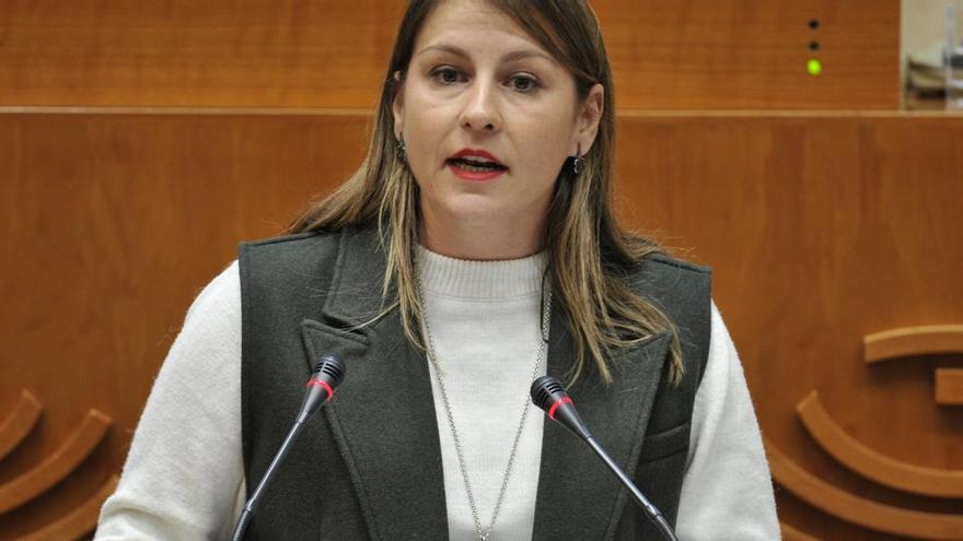 El PP rechaza la propuesta de Vox de implantar el pin parental en Extremadura