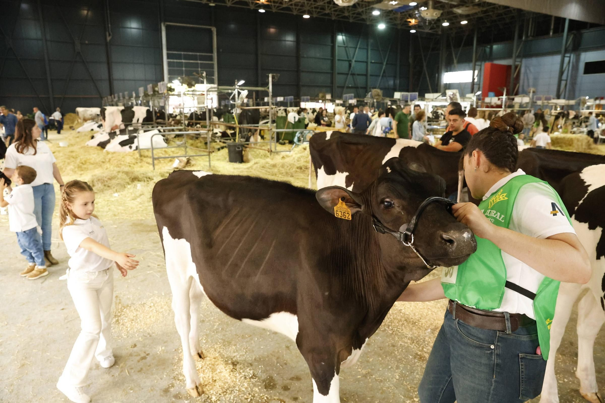 El último día de la Feria de San Antonio en Gijón, en imágenes