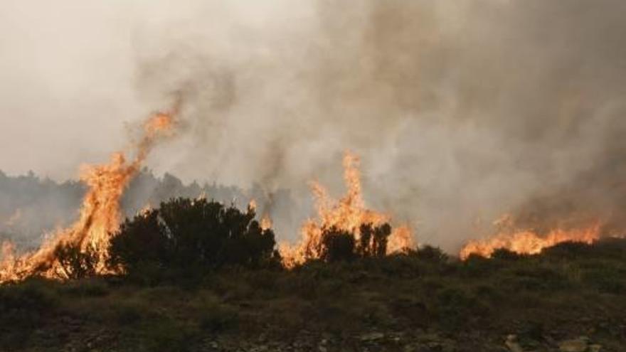 L&#039;incendi de Lleó ja ha cremat 8.000 hectàrees