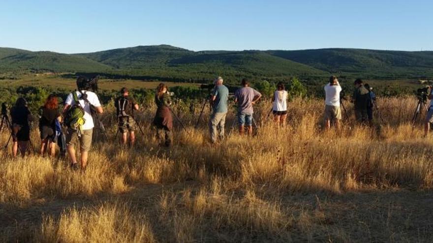 Un grupo de personas en un avistamiento al lobo en La Culebra, en la tarde del sábado.