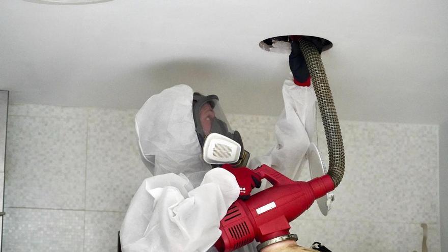 Expertos alertan del aumento de cucarachas en Sevilla por el calor y de cómo evitarlas: "Pueden entrar por desagües y bajantes"