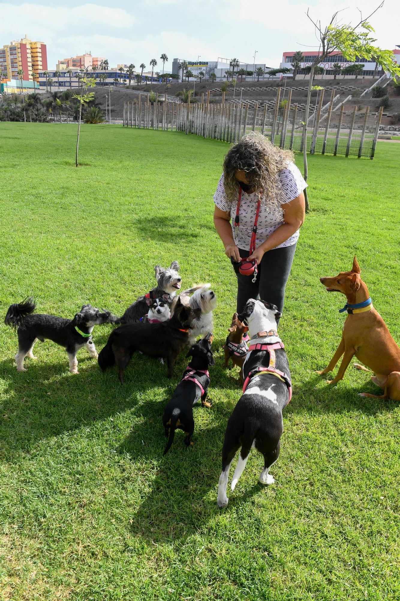 Jornada de domingo en el parque de La Ballena