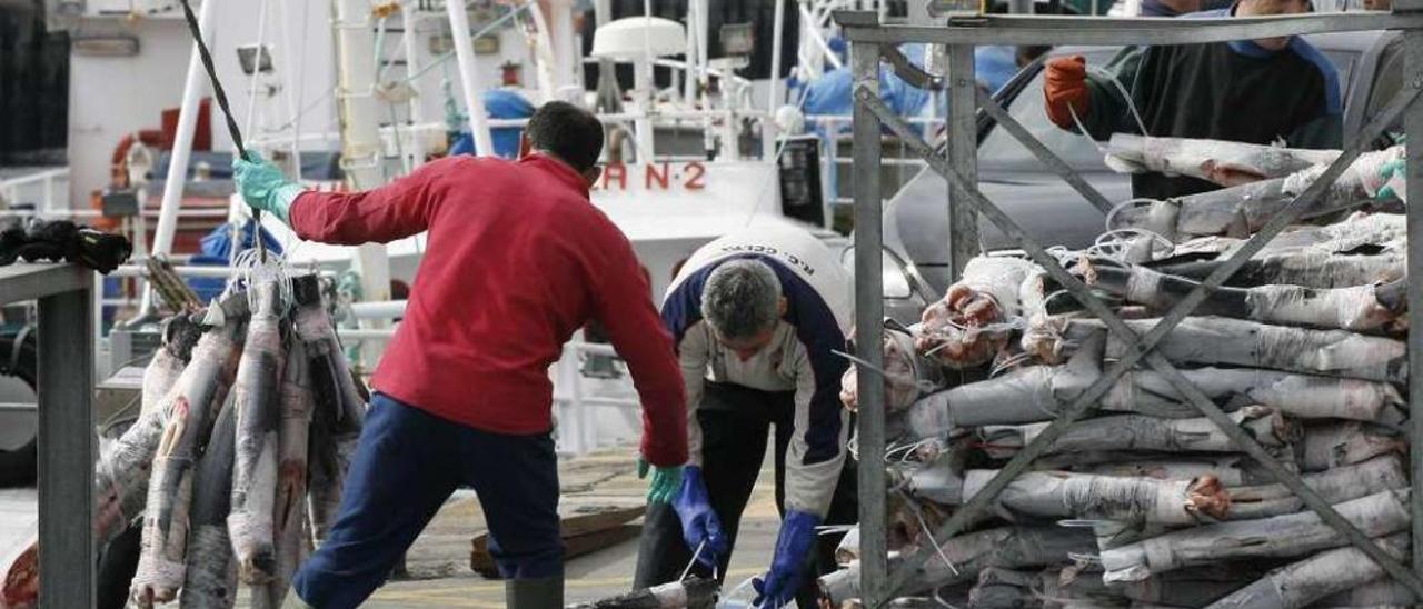 Descarga de pescado en el muelle de O Berbés, en el puerto de Vigo. // Jesús de Arcos