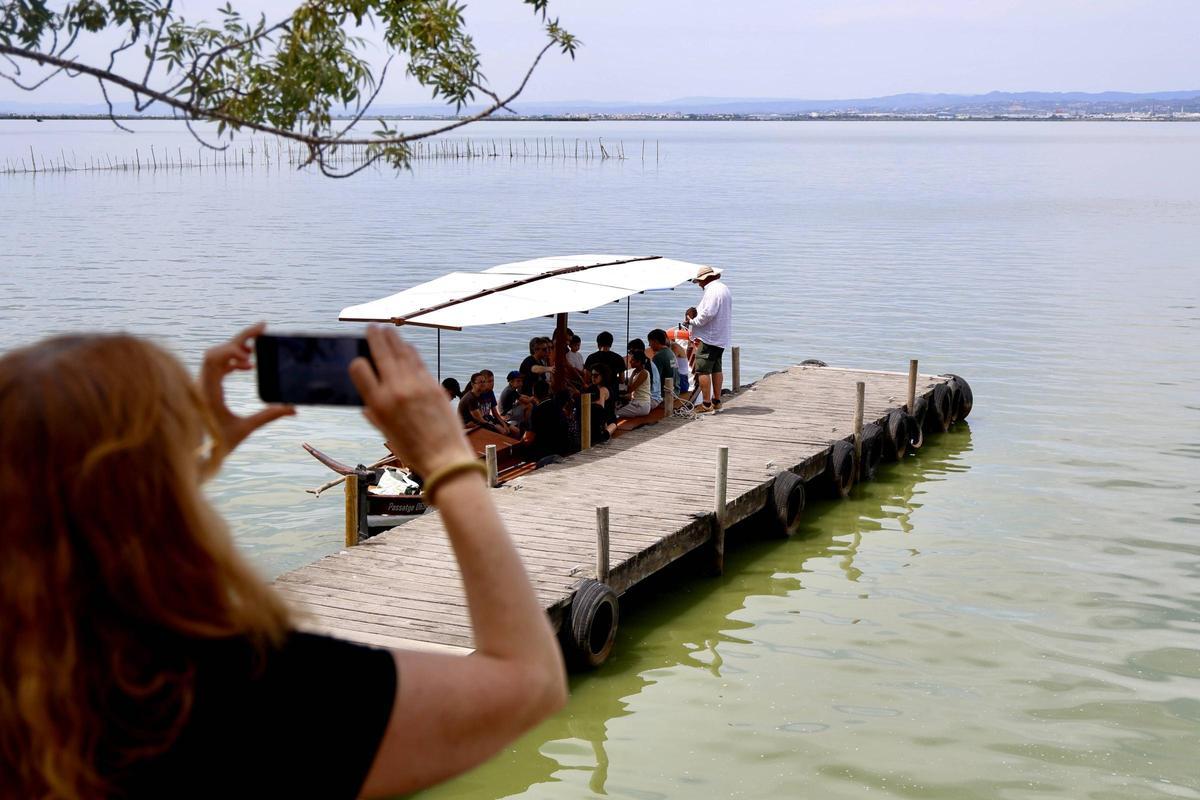 La salinización avanza en l'Albufera