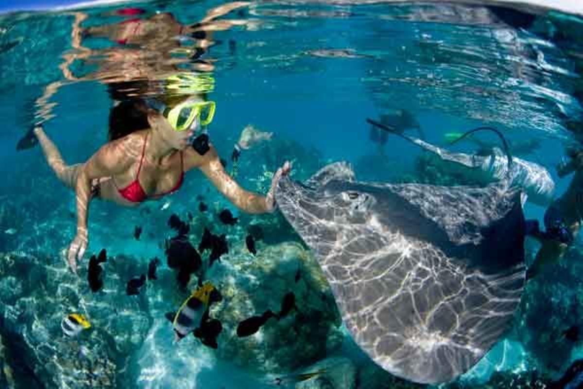 Snorkel en Moorea, una isla de la Polinesia Francesa.