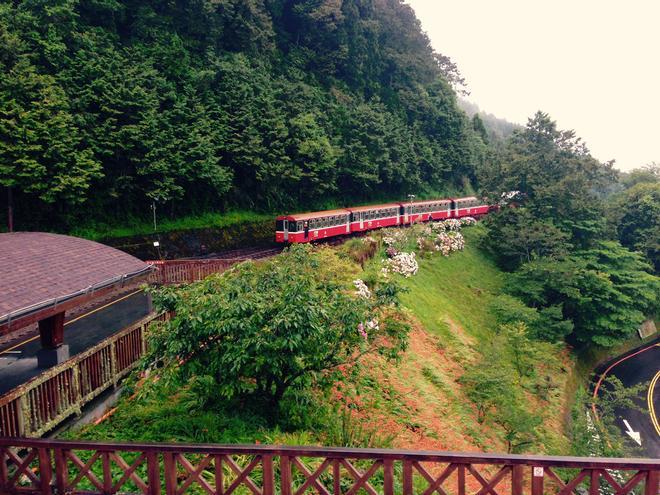 Alishan Forest Railway, un tren, infinidad de paisajes