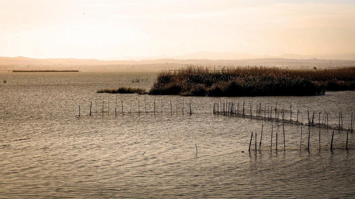 Imagen de l'Albufera desde el Palmar