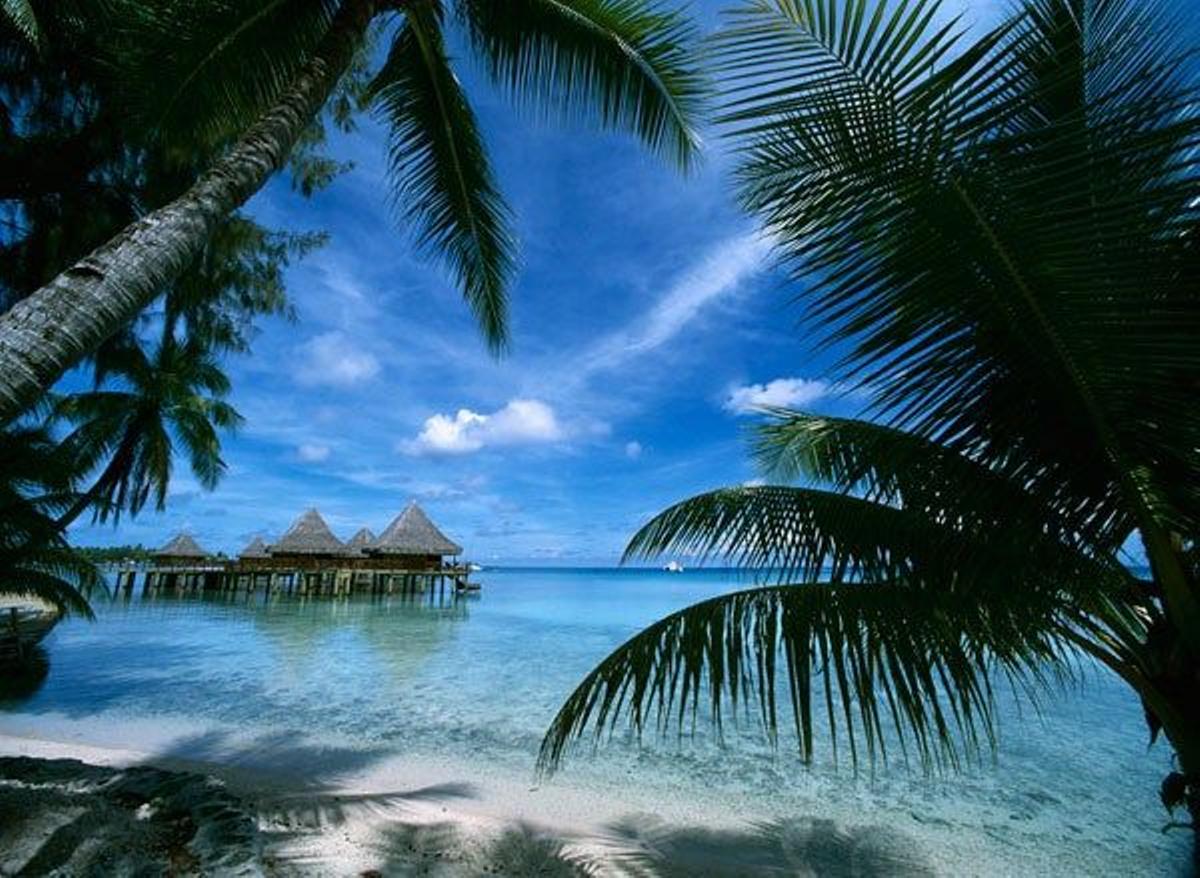 Típica playa con palmeras y aguas cristalinas del atolón de Rangiroa.