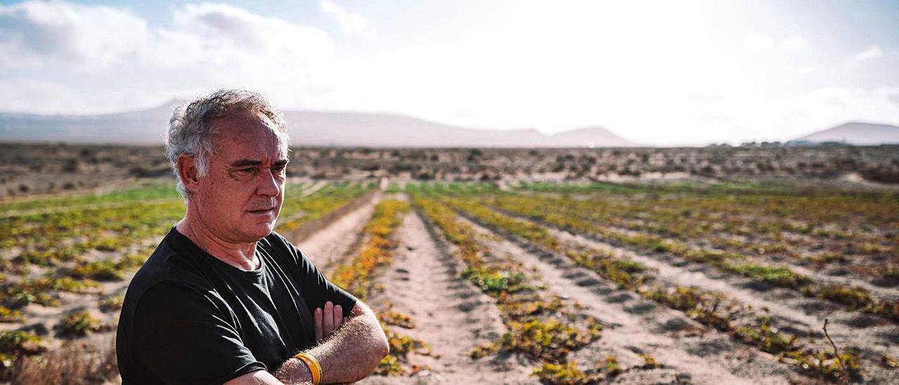 Ferran Adrià   | // FARO