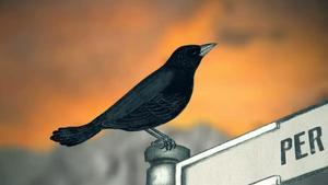 El videoclip d’Antònia Font ’Per jo i tots es ciclistes’.