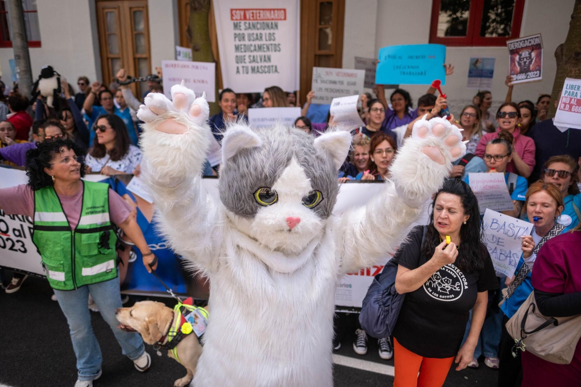 Los veterinarios  de Tenerife se manifiestan contra el decreto que les impide suministrar antibióticos a las mascotas.