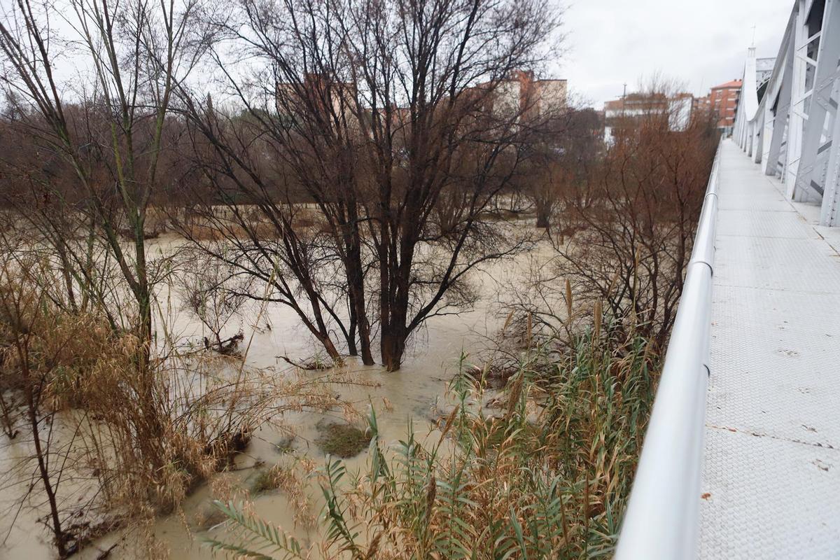 Así luce el río Ebro este viernes 13 de febrero