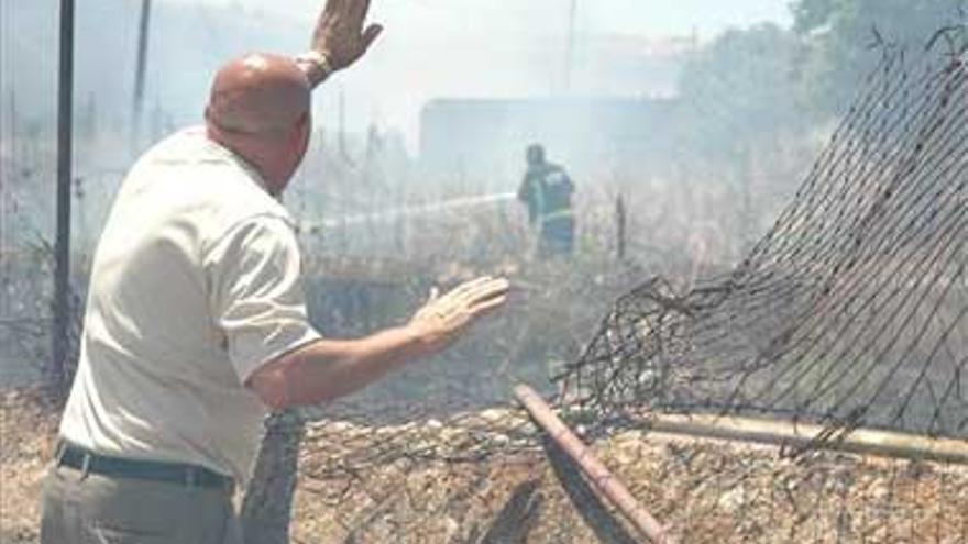 El cerro de los Pinos sufre en 10 días su segundo incendio de pastos