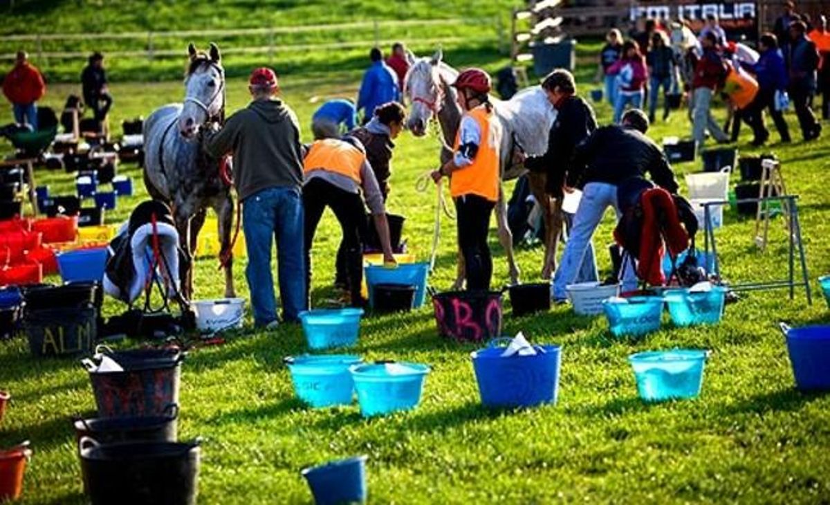 Competidors d’Espanya, França, l’Uruguai i Alemanya es van donar cita a la casa rural La Tria, a Osona.