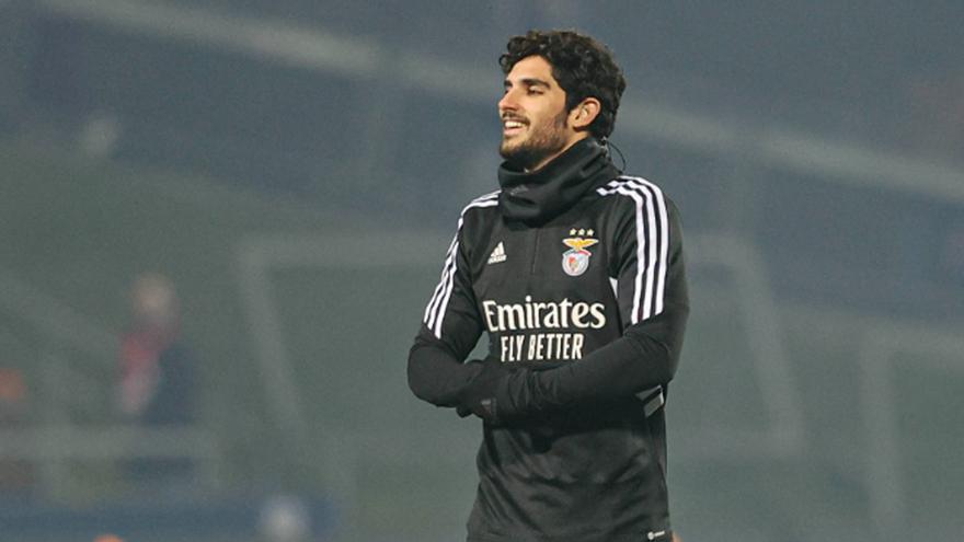 Gonçalo Guedes, KO