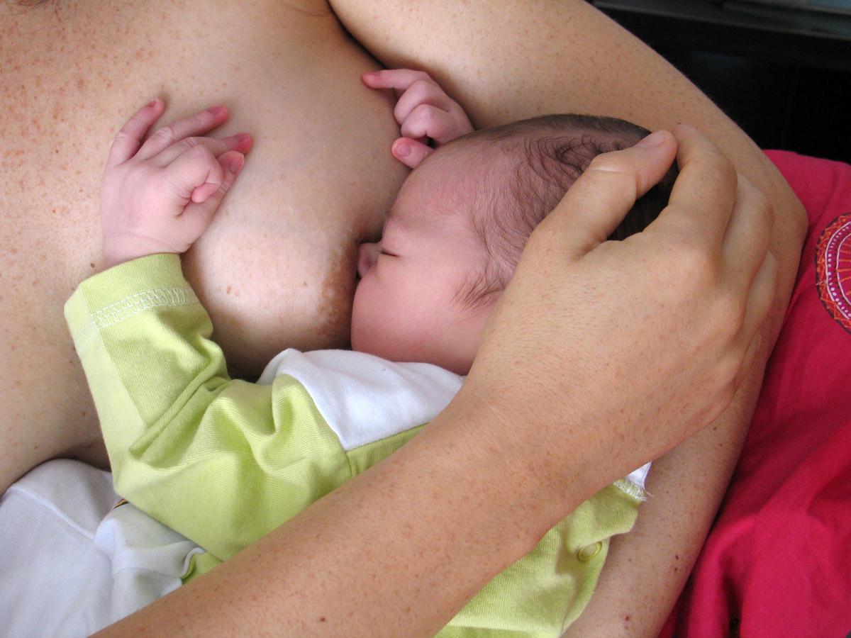 La llet materna de les mares vacunades amb Pfizer podria protegir de la Covid-19 els seus nadons