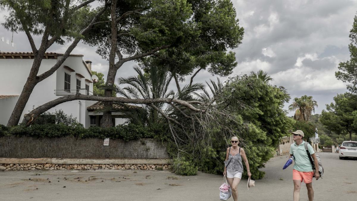 Uno de los incidentes provocados por la gota fría en Cala Santanyí en agosto de 2019.