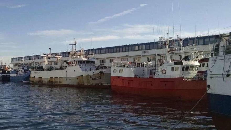 Buques palangreros y arrastreros atracados en un puerto gallego.