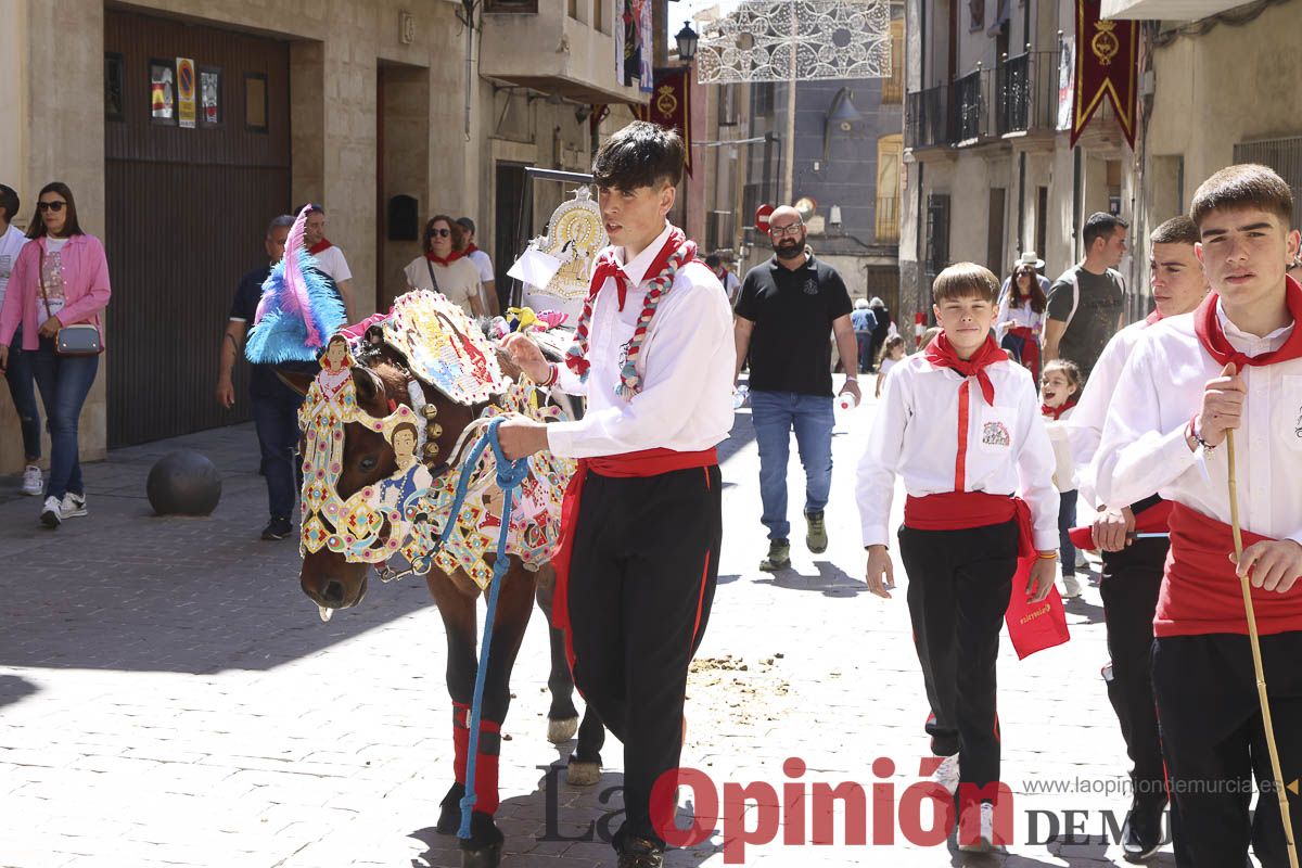 Fiestas de Caravaca: desfile infantil de los Caballos del Vino