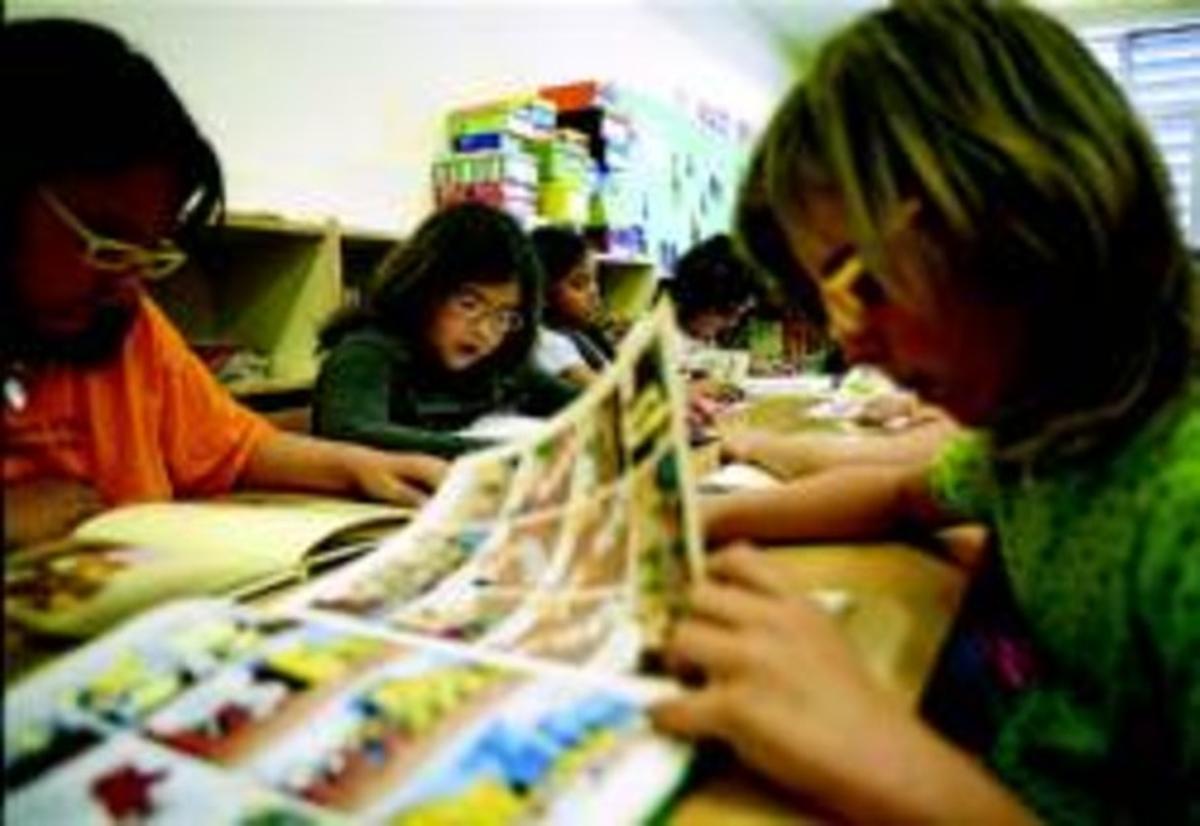 Alumnes de l’escola Acàcies del Poblenou, on es crea un grup addicional de P-3, a la biblioteca. Alumnes de l’escola Acàcies del Poblenou, on es crea un grup addicional de P-3, a la biblioteca.