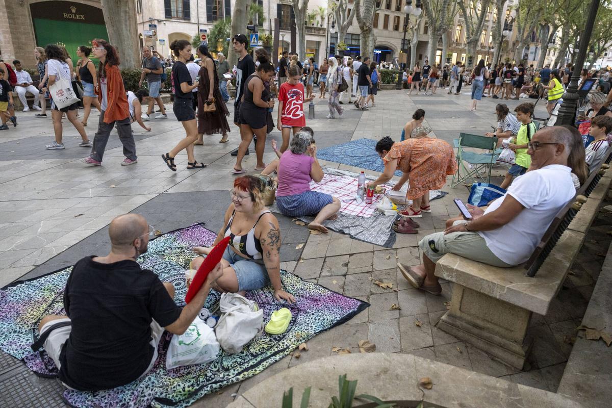 Los palmesanos recuperan el Born: "Hoy el paseo es nuestro" Los palmesanos recuperan el Born: "Hoy el paseo es nuestro"