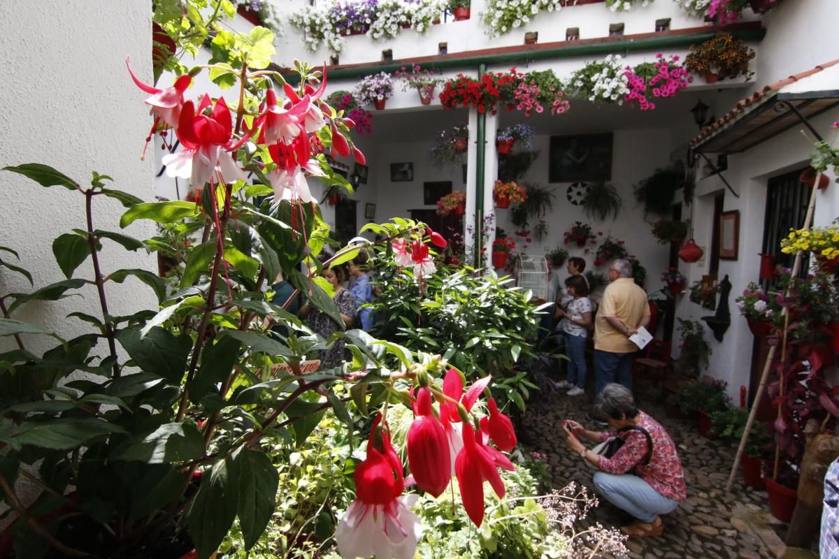 Paseando por los patios de la San Lorenzo y San Rafael